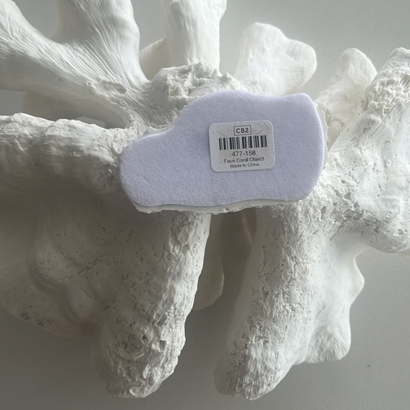 CB2 faux coral - Picture 2 of 2